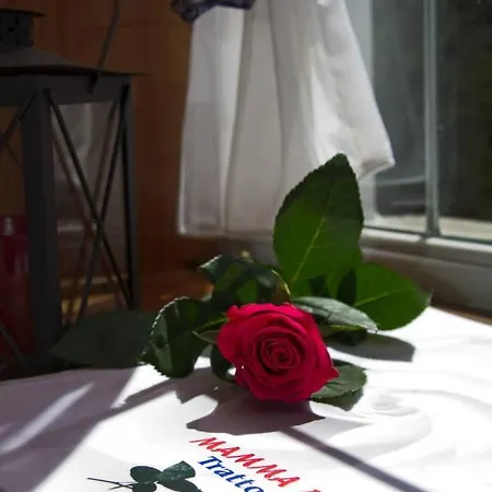Hotell Mamma Rosa Wunsiedel
