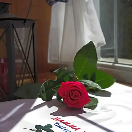 Mamma Rosa فندق *